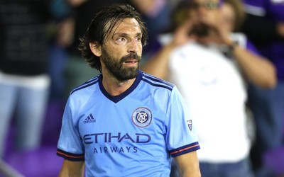 派亿体育精华-安娜珂·伯贝的宠物狗品种曝光