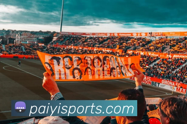 派亿体育官网平台生态图